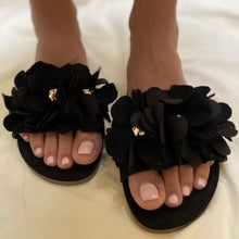 Load image into Gallery viewer, Petunia Negro