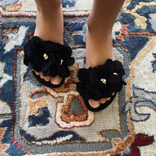 Load image into Gallery viewer, Petunia Negro